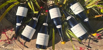 2024 Estate Release 6-pack