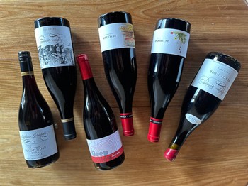2025 International Pinot Noir Day Offer