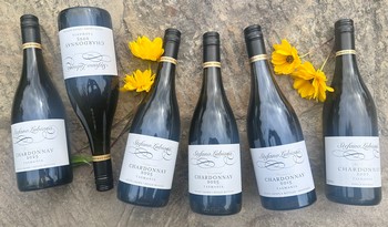 Primavera Chardonnay Vertical 6-pack