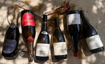 2025 Christmas Offer