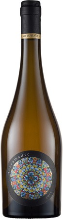 2017 'Terramadre' Pinot Noir Biodynamic Image